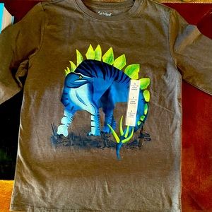 Kids dinosaur longsleve shirt